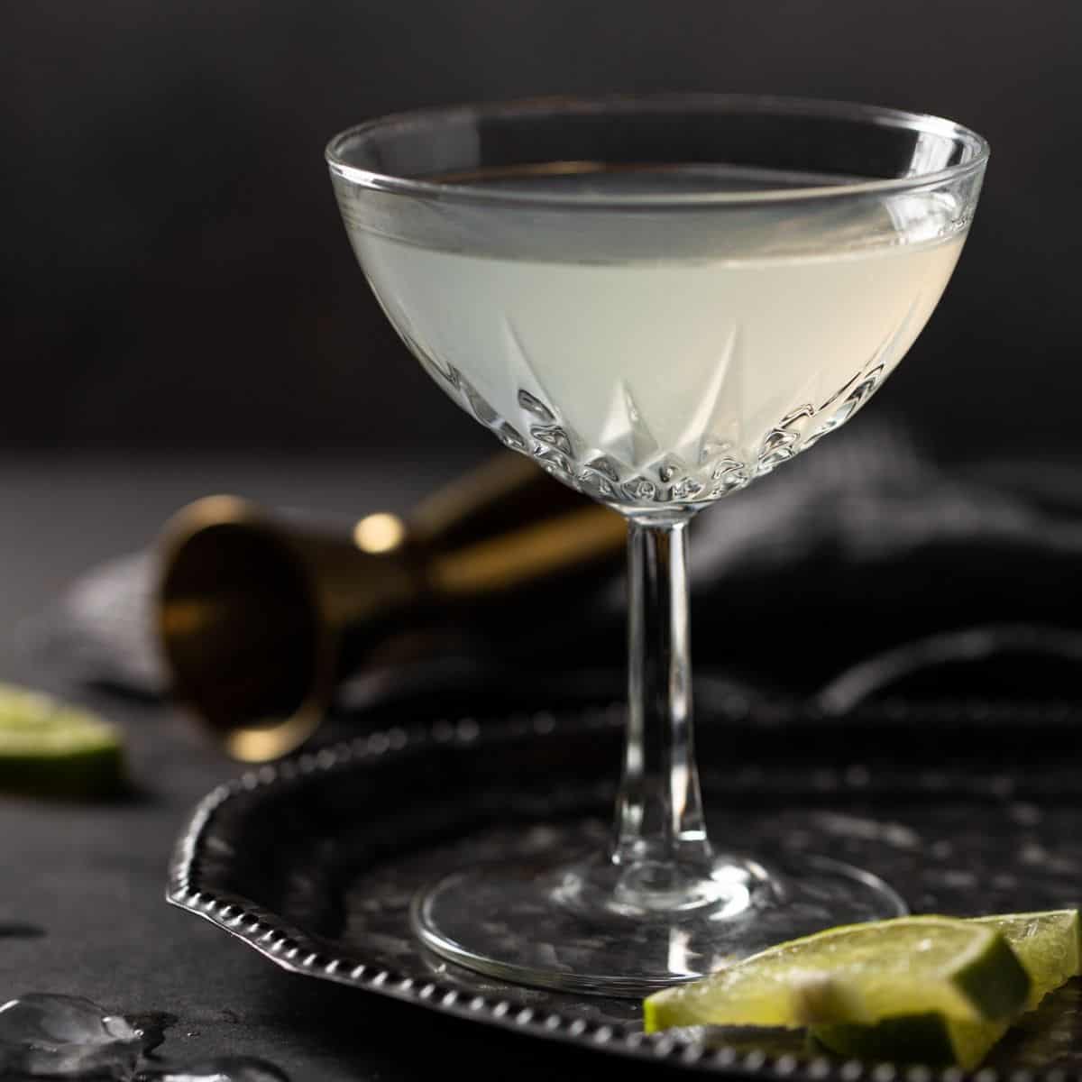 Elderflower Gin Gimlet | a modern gin gimlet recipe - Garnish with Lemon